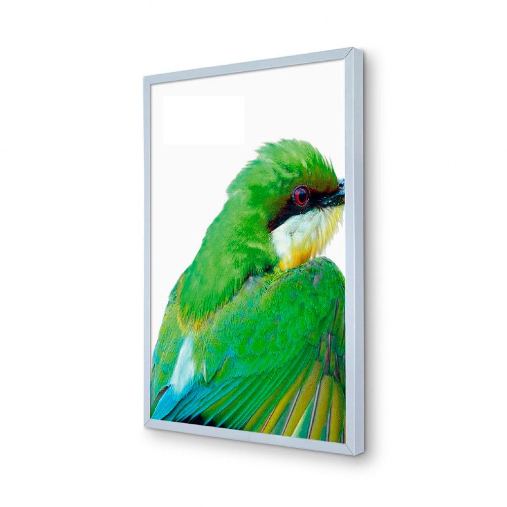 Rám Insert Frame na plakát či 6mm desku A4 A-Z Reklama CZ