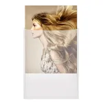 Náhradní voděvzdorná kapsa na plakáty B1 A-Z Reklama CZ